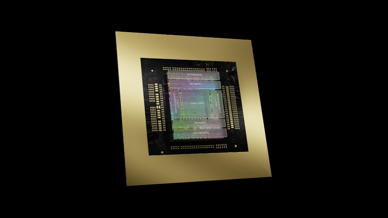 NVLink-Switch-Chip